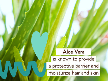 Babo Botanicals Eucalyptus Remedy Shampoo & Wash - Invigorating Eucalyptus & Rosemary Essential Oils -For all Ages - EWG Verified - Vegan - Cruelty Free