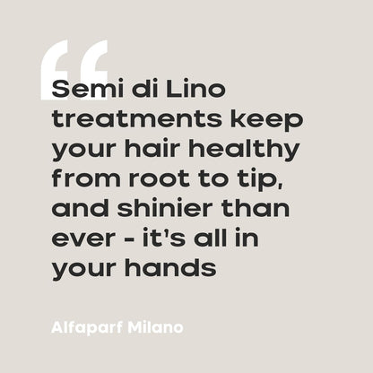 ALFAPARF MILANO Semi di Lino Cristalli di Seta Hair Oil Serum for Fine Hair - Provides Brilliant Shine and Protection - Bi-Phase Serum for Thin Hair - Color Safe - Hydrates, Strengthens (1.52 fl oz)