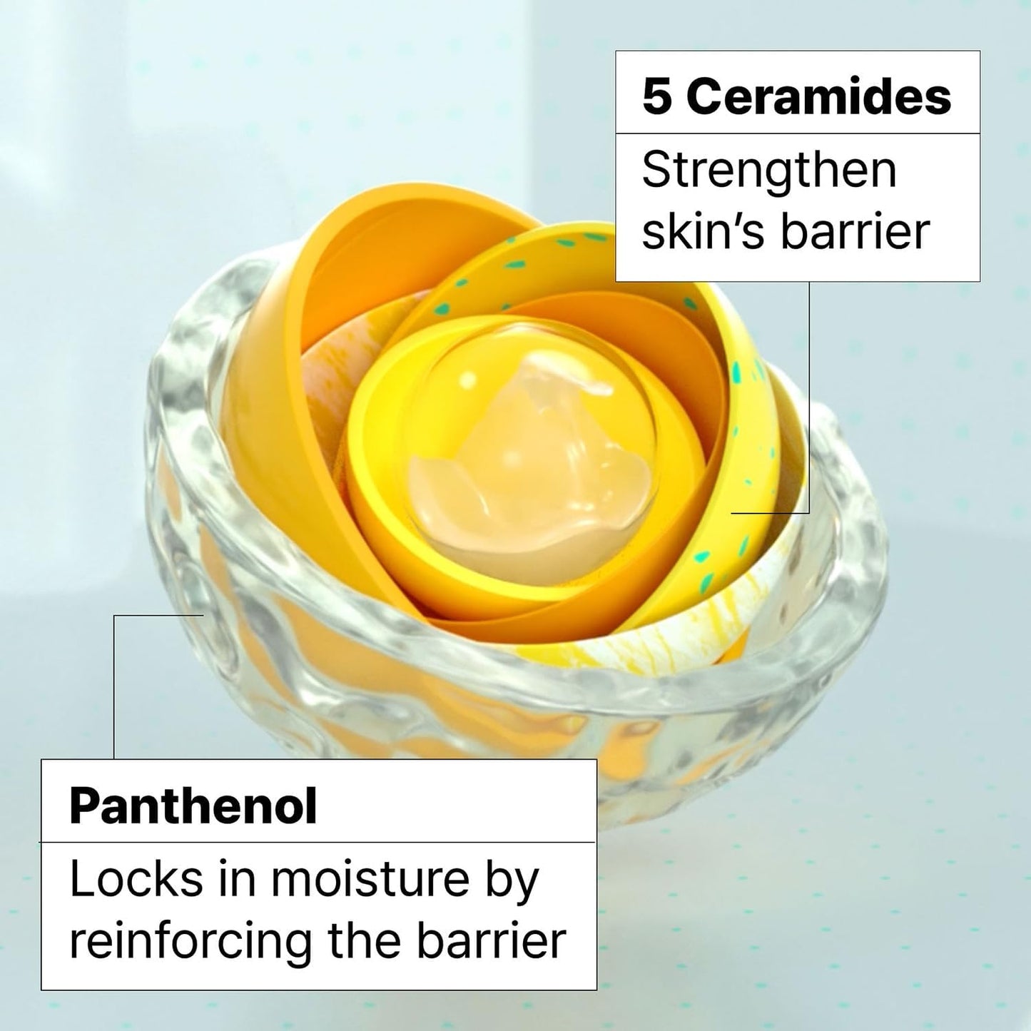 Dr.Jart+ Ceramidin Skin Barrier Korean Face Cream Moisturizer with Ceramides and Panthenol | Korean Skin Care