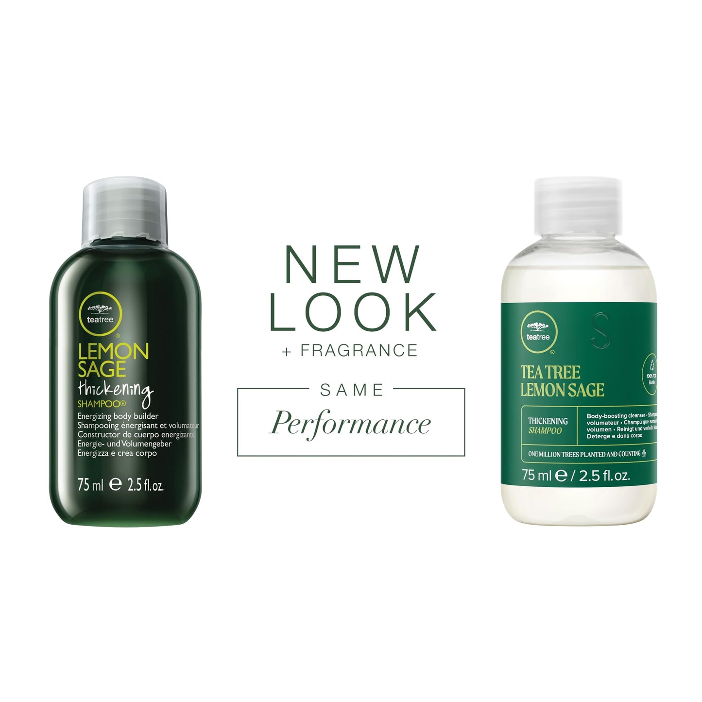 Tea Tree Lemon Sage Thickening Shampoo, Builds Body + Boosts Volume, For Fine Hair