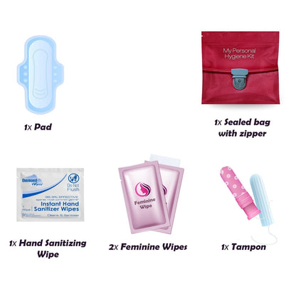 3 x Menstrual All-in-One Kits - Assorted Colors | Convenience on The Go | Single Period Kit Packs | Individually Wrapped Feminine Hygiene Products (Green Ferns/Red Purse/Under The Sea)