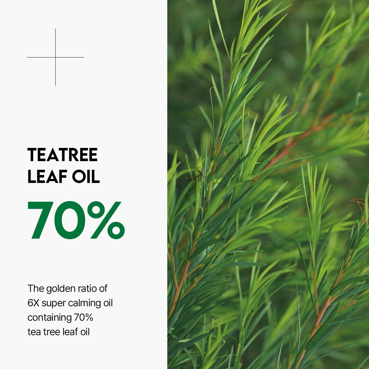 Mediheal Teatree Trouble Calming Oil (0.33 fl oz), Quick Calming and Deep Hydration with Control Excess Oil for Sensitive Skin Type