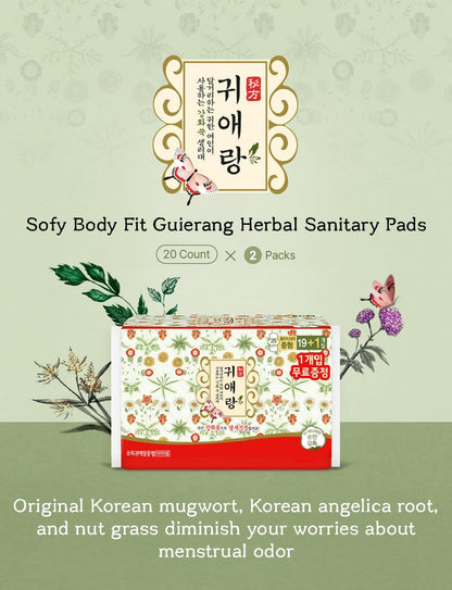 Body Fit Guierang Herbal Sanitary Pads, Medium 10.2inch 26cm 20 Count X 2 Packs