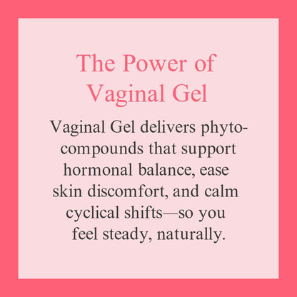 At Last Naturals SKIN Moisturizer Gel 1.5 oz Plant Based with Wild Yam and Vitamin E Helps Restore Moisture and pH Balance for Feminine Care Paraben Free Non Greasy Long Lasting Hydration 1 Pack