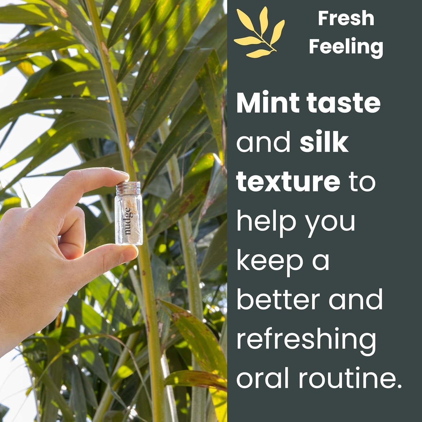 Nudge Clean Sustainable Silk Dental Floss Refill Set, Reusable Glass Dispenser with 4 x 30m All Natural Silk Floss Spools, Plant Based Wax Coated, PFAS Free Oral Care