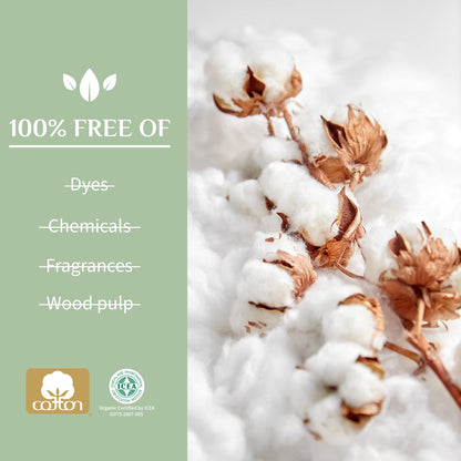 Organyc 100% Certified Organic Cotton Tampons, Cardboard Applicator, Free from Chlorine, Perfumes, Rayon and Chemicals, Regular, 16 Count