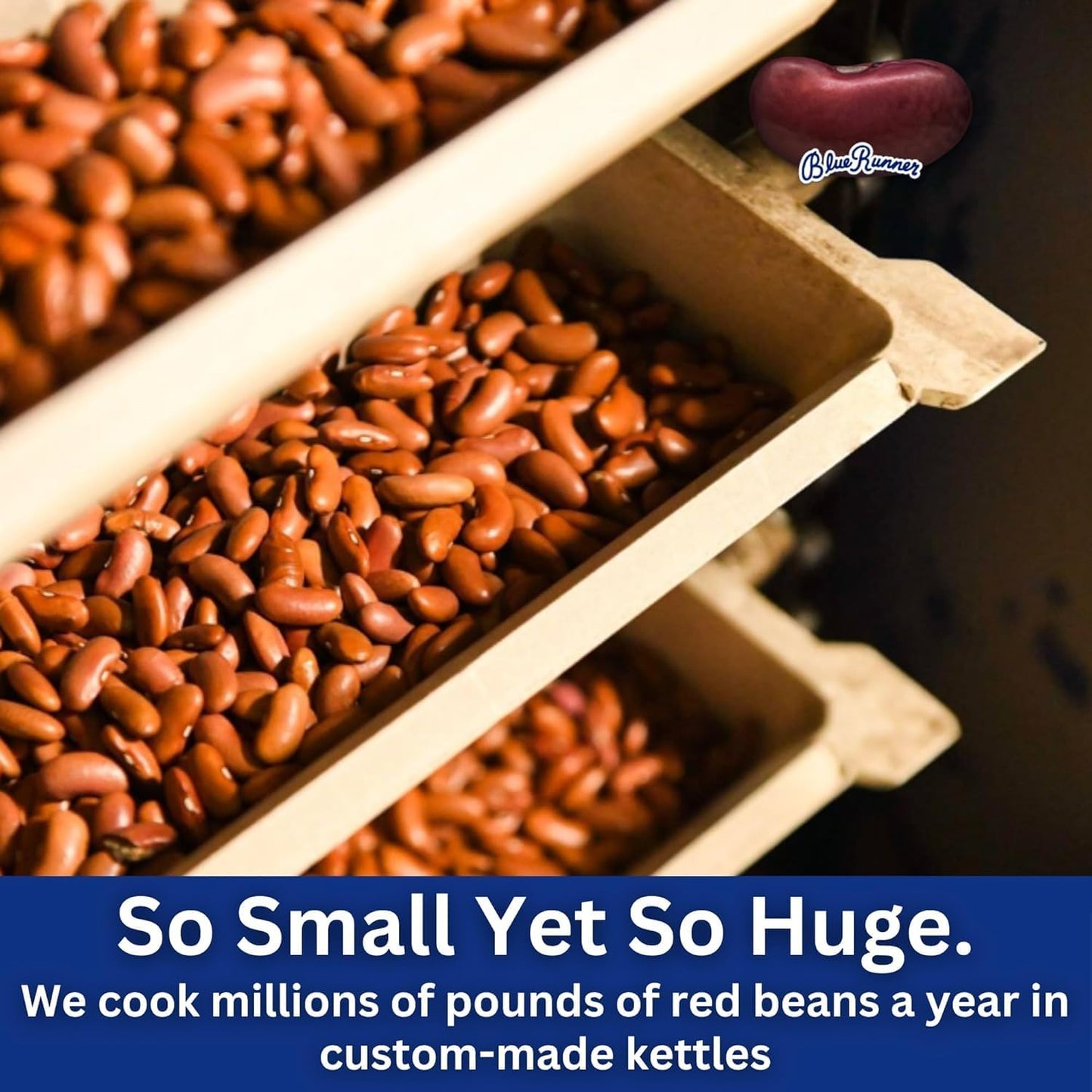 Blue Runner Creole Cream Style Red Beans and Nevy Beans Sampler, 16 Ounce (Pack of Two Each) - Easy Heat and Serve Beans for Delicious Meals - Authentic New Orleans Flavor