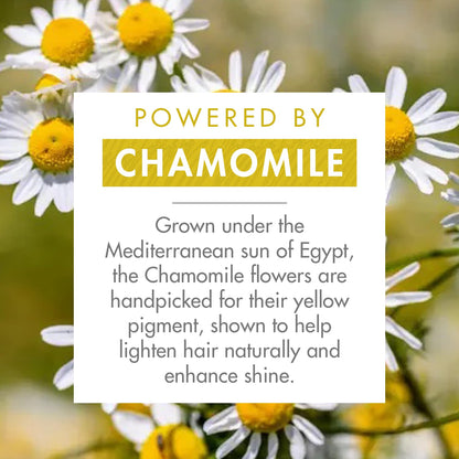Klorane Brightening Shampoo with Chamomile - Enhances Highlights and Brightens Blonde Hair - Softens and Enhances Shine - Ultra-Gentle Formula - Dermatologist-Tested, Vegan - 13.5 fl. oz.