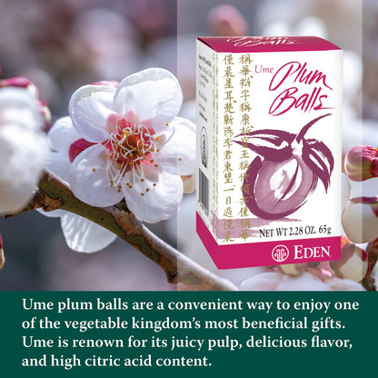 Eden Ume Plum Balls, Ume Plum Concentrate and Jinenjo Wild Mountain Yam, 300 Quarter Gram Balls, 2.28 oz