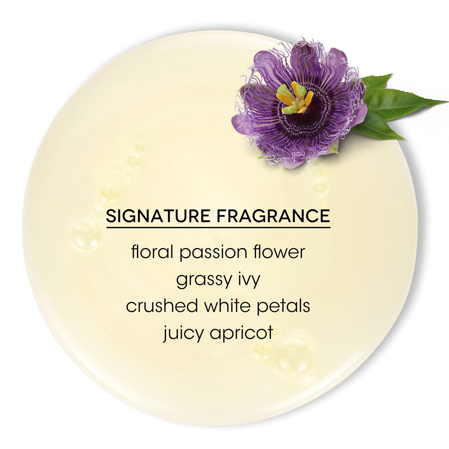 Bain de Terre Passion Flower Color Preserving Shampoo, for Vibrant Color & Protection from Fading, with Argan & Monoi Oils, Paraben-free, Vegan