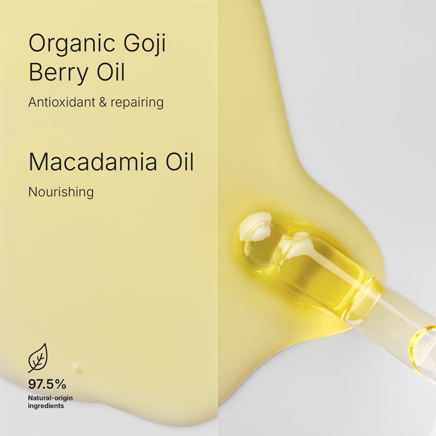 Renight Nourishing Vitamin Face Oil, Antioxidant Night Treatment, Silky Texture, Clean Beauty, Vegan, Organic Goji Berry, Macadamia Oil, Dry & Stressed Skin, 1.01 Fl Oz