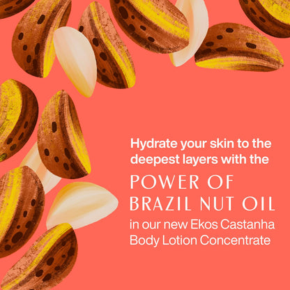 Natura - Brazil Nut Body Lotion Concentrate Castanha Refill