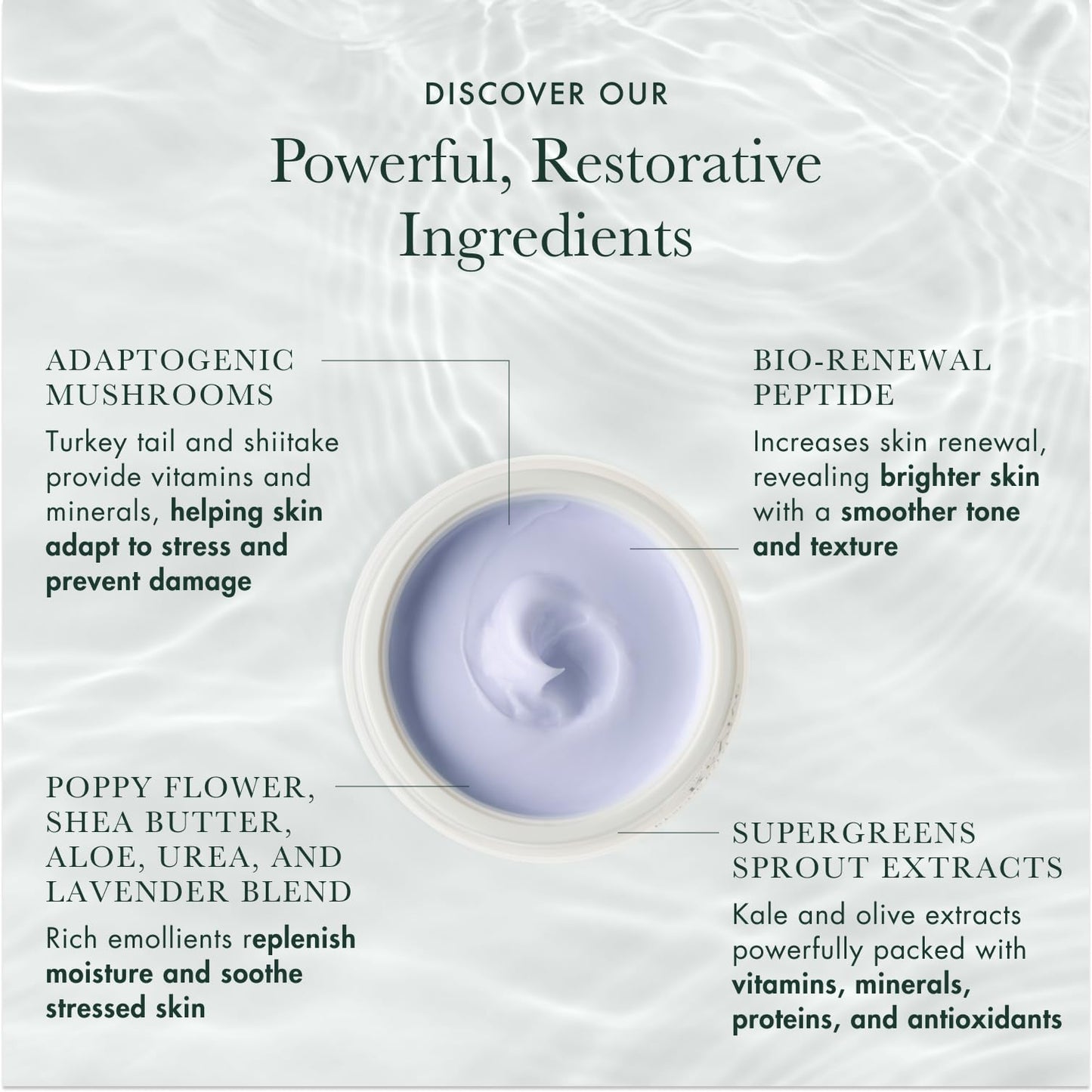 RéVive Rescue Balm Overnight Face Mask - Nourishing Facial Mask to Help Visibly Improve Signs of Stress & Restore Skin Vitality - Made with Peptides, Shea Butter & Aloe Vera to Soothe Skin (2.5 oz)