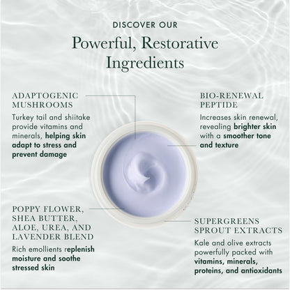 RéVive Rescue Balm Overnight Face Mask - Nourishing Facial Mask to Help Visibly Improve Signs of Stress & Restore Skin Vitality - Made with Peptides, Shea Butter & Aloe Vera to Soothe Skin (2.5 oz)