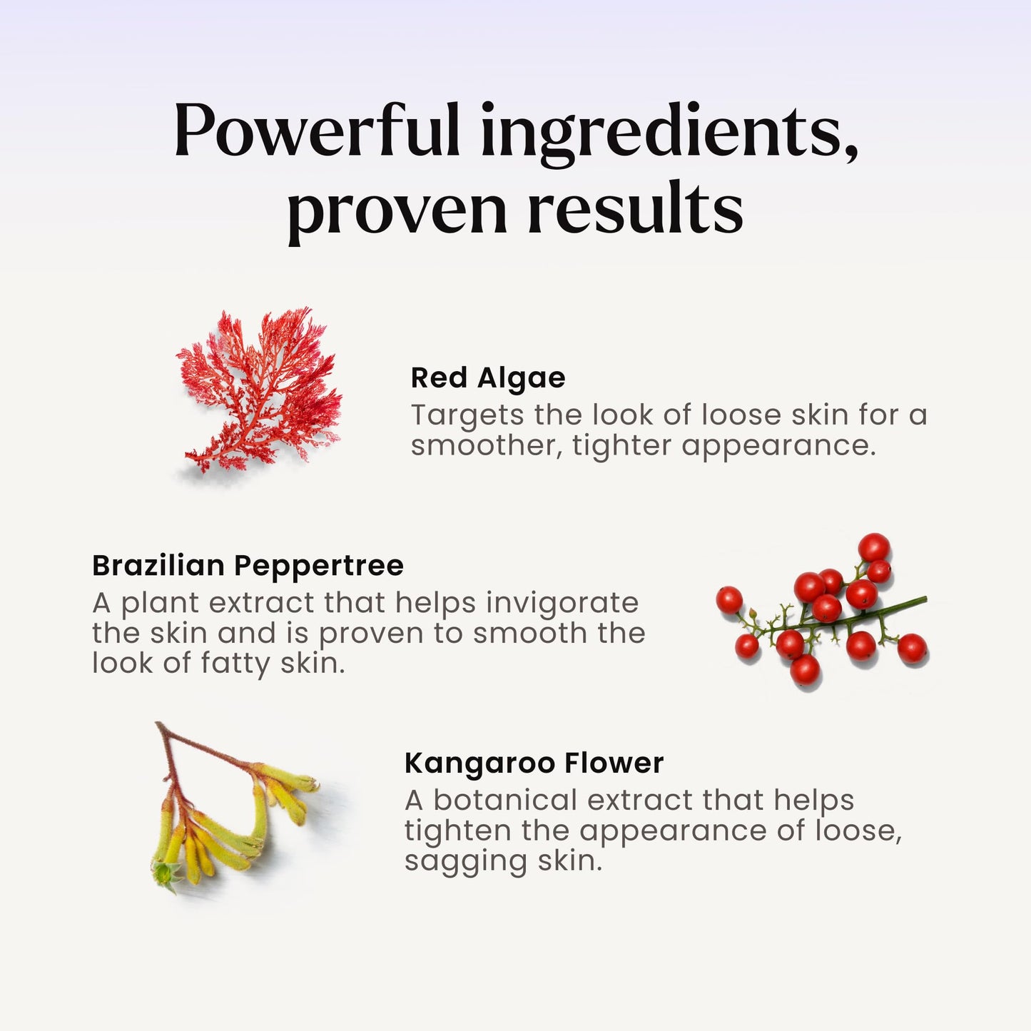 MAËLYS B-FLEX Firming Arm Cream for Women - Cream for Crepey Skin and Aging - Skin Firming and Tightening Cream for Arms with Red Algae & Kangaroo Flower (3.4 Fl Oz)