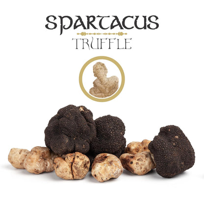 Spartacus Truffle Black Whole Truffle in Olive Oil – Italian Gourmet Delicacy – Authentic Fine Dining Ingredient – Exquisite Black Truffles for Chefs & Food Lovers – Gift Jar