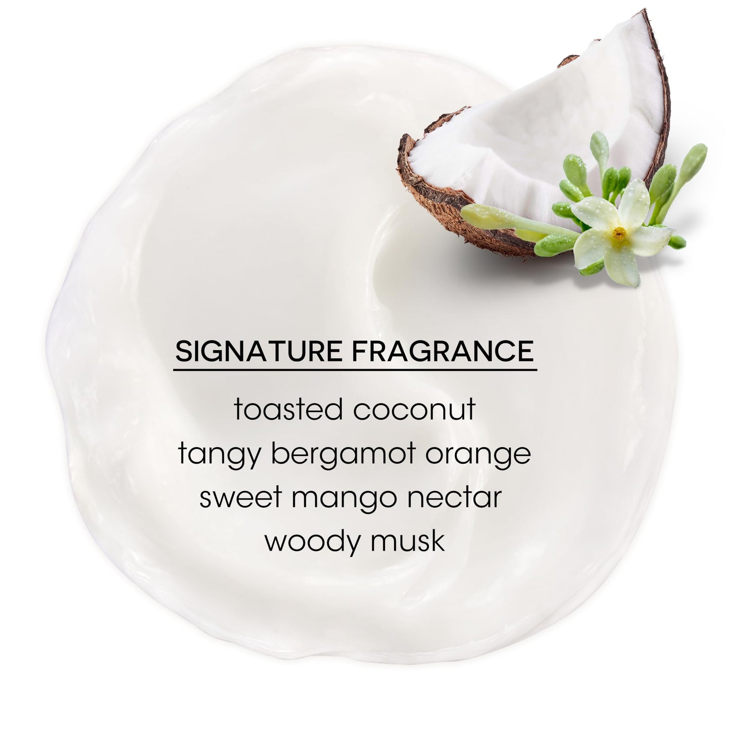 Bain de Terre Coconut Papaya Ultra Hydrating Conditioner, Moisture Quench for Dry, Damaged Hair, with Argan & Monoi Oils, Paraben-Free, Color-Safe, Vegan
