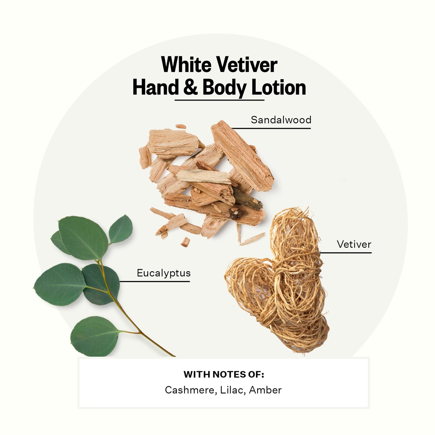 Apotheke Scented Hand & Body Lotion, White Vetiver - 10 Fl Oz Nourishing Body Moisturizer Cream for Dry Skin - Gentle Daily Skincare for Men & Women with Natural Ingredients, All Skin Types
