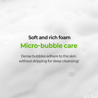 Baby & Mom Intimate Wash – Gentle Antibacterial Cleanser for Delicate Areas, pH-Balanced, Deodorizing, Soothing Foam Care for Sensitive Skin, 8.45 fl oz