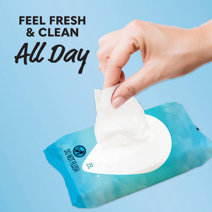 Summer's Eve Fragrance Free Gentle Daily Feminine Wipes 32 Count 4 Pack and Fragrance Free Gentle Daily All Over Feminine Body Wash 15 fl oz