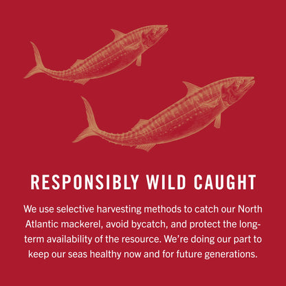 King Oscar Mackerel in Olive Oil, 4.05 Ounce Can (Pack of 6, Packaging May Vary), Skinless & Boneless, Wild Caught Canned Mackerel