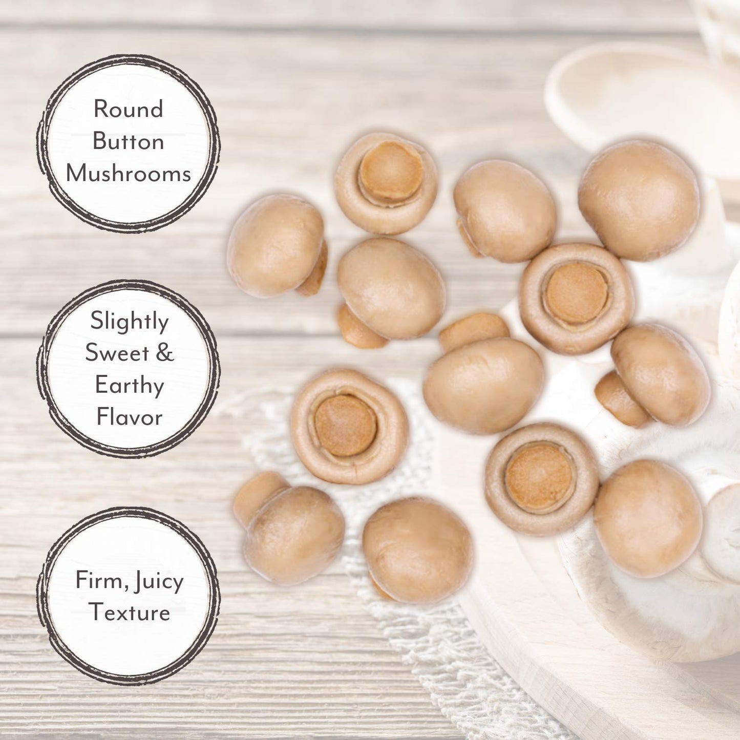 Roland Foods Whole Medium Large Button Mushrooms, Specialty Imported Food, 16 Ounce Can, Pack of 4