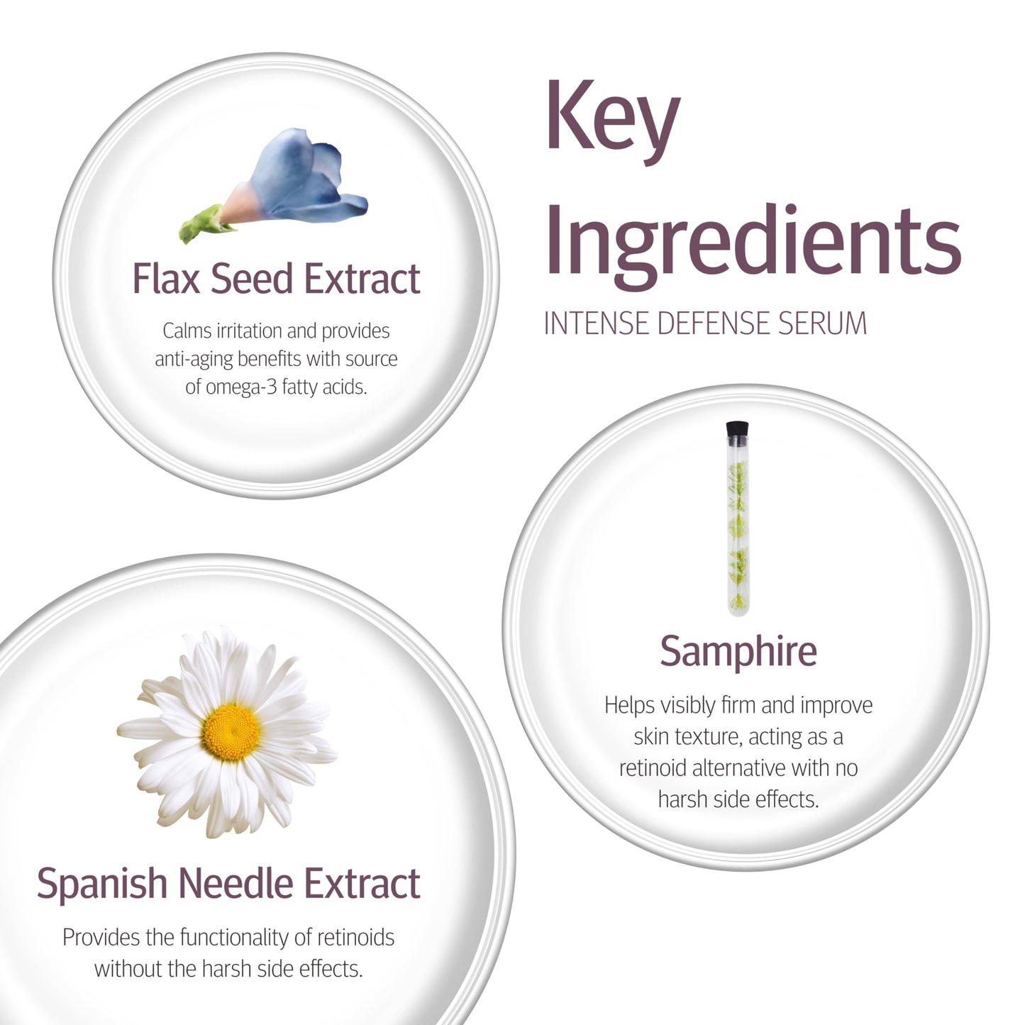 Epionce Intense Defense Serum - Anti-Aging Facial Serum with Vitamin C, Vitamin E, Vitamin D, A, B, & Niacinamide, Dermatologist Skincare