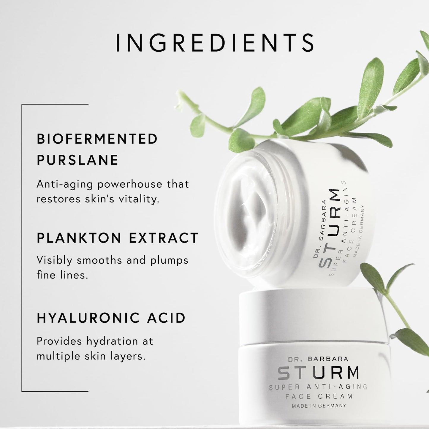 Dr Barbara Sturm Super Anti Aging