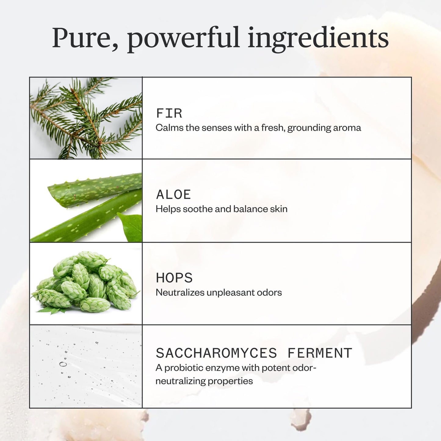 Ursa Major Natural Deodorant - Forest Fix | Aluminum-Free, Non-staining and Cruelty-Free | 2.6 ounces