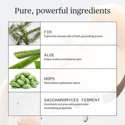 Ursa Major Natural Deodorant - Forest Fix | Aluminum-Free, Non-staining and Cruelty-Free | 2.6 ounces