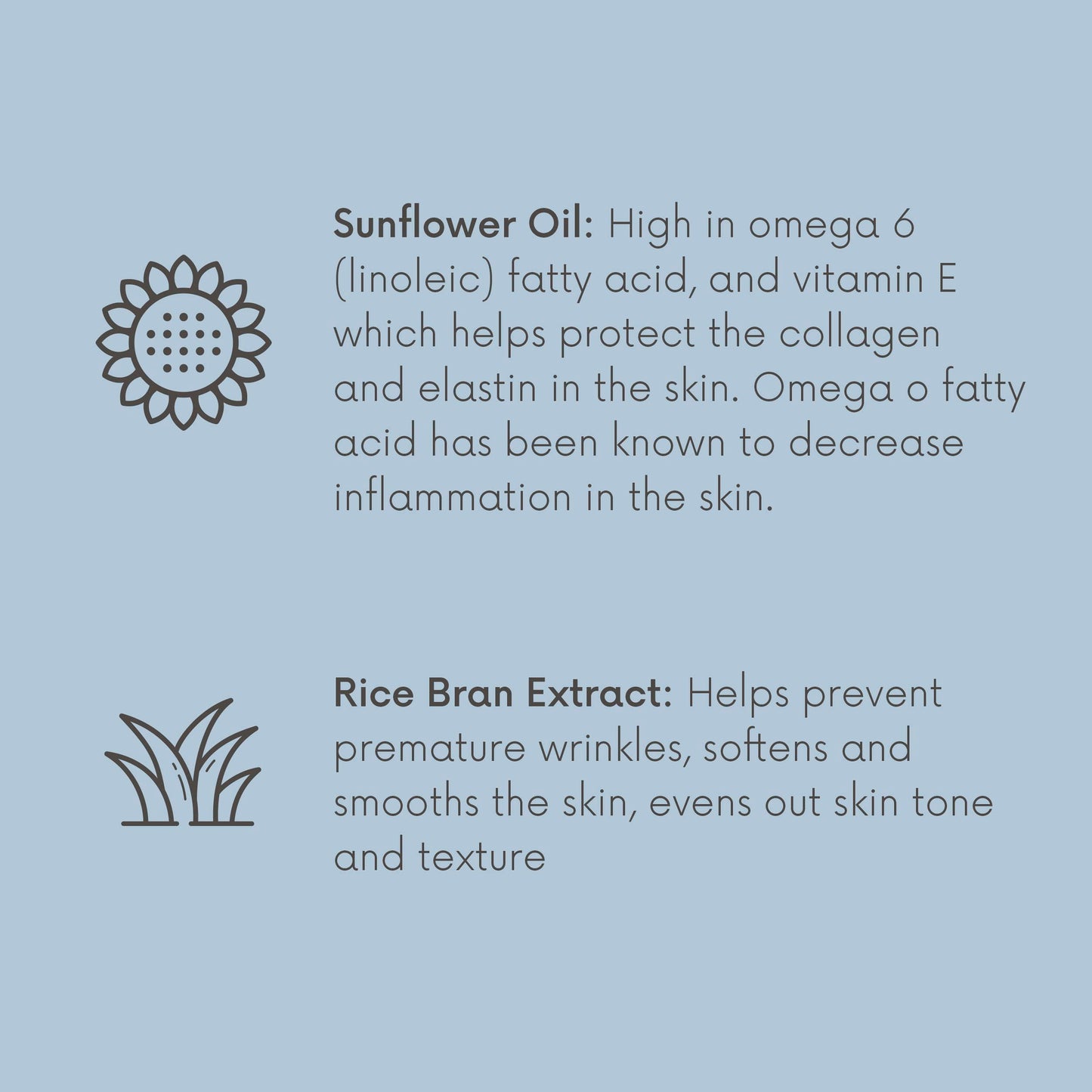 SpaRitual Fragrance Free Body Oil | Unscented Body Moisturizer for Hydration and Massage Oil | 4 oz