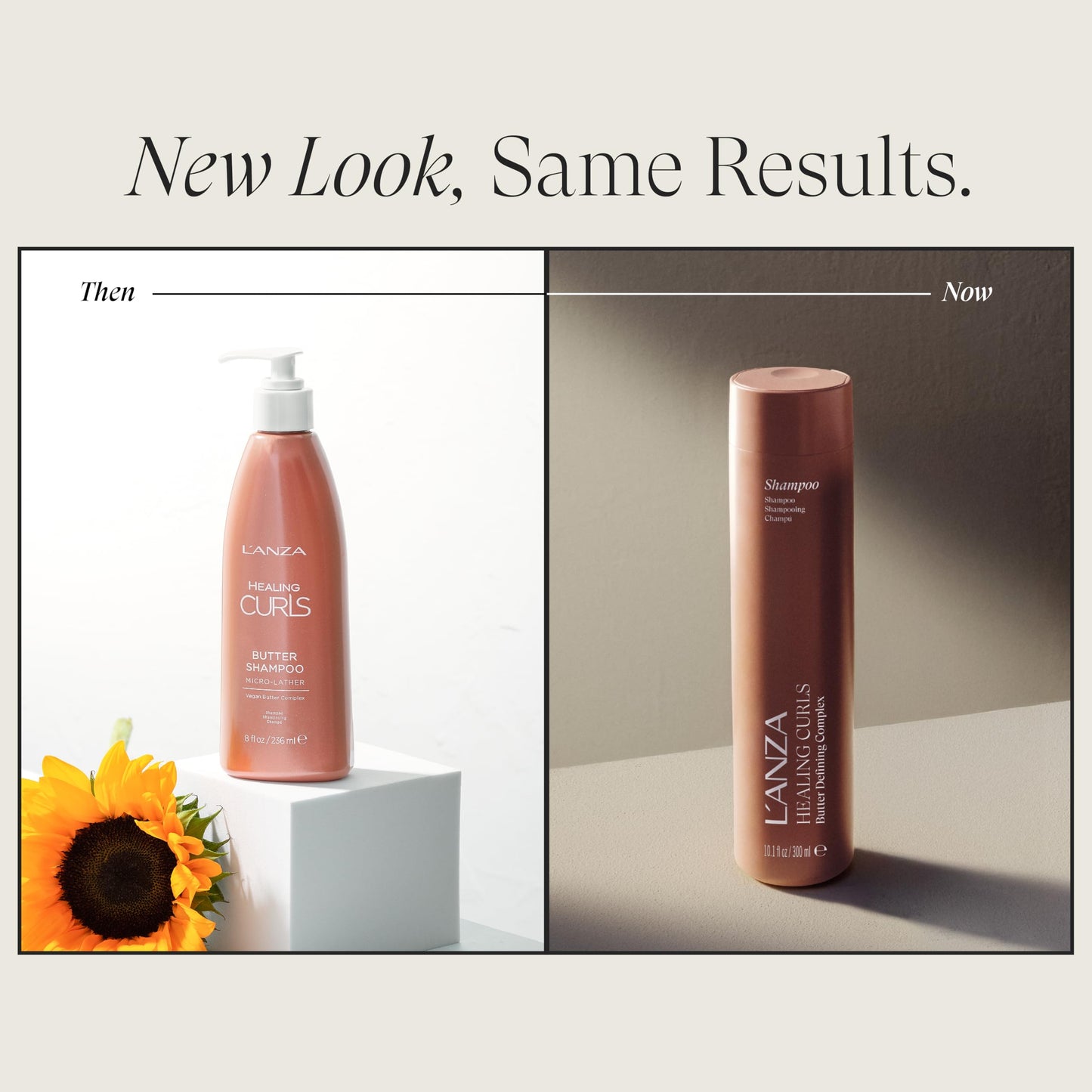 L'ANZA Healing Curls Shampoo For Curly Textured Hair Moisturizing Detangling Curl Shampoo, Detangles, Enhances Bounce, Anti-Frizz, Color Safe Vegan, Gentle Cleanse Anti-Humidity Sulfate Free