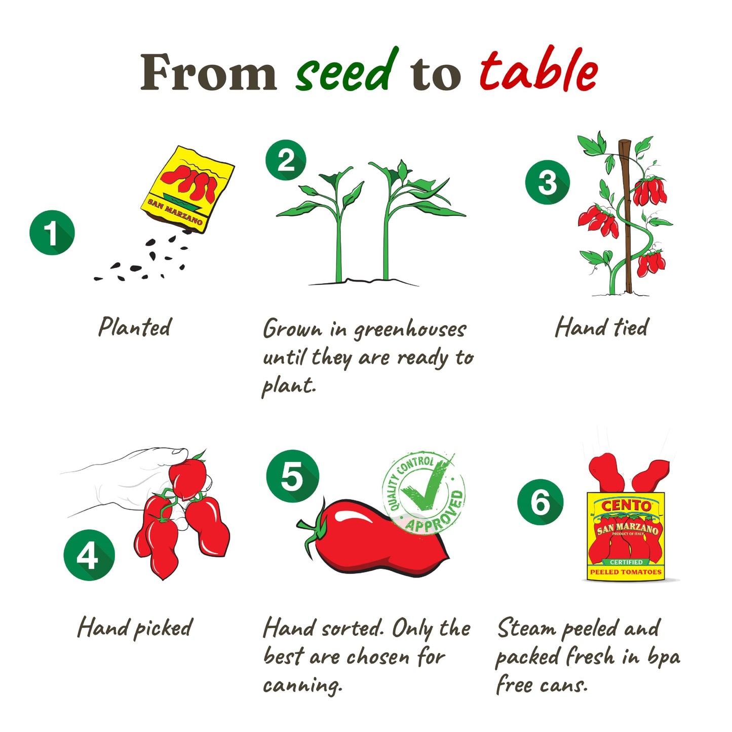 Cento Certified San Marzano Whole Peeled Tomatoes, 28 Oz (Pack of 6), Canned Plum Tomatoes in Thick Puree with Basil, Grown and Processed in Italy