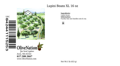 OliveNation Extra Large Dry Lupini Beans, High Protein Legume for Authentic Mediterranean Flavor, Non-GMO, Gluten Free, Kosher, Vegan - 16 ounces
