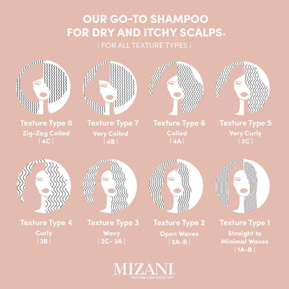 MIZANI Scalp Care Dandruff Shampoo - Cleanses Hair & Scalp, For Curly Hair