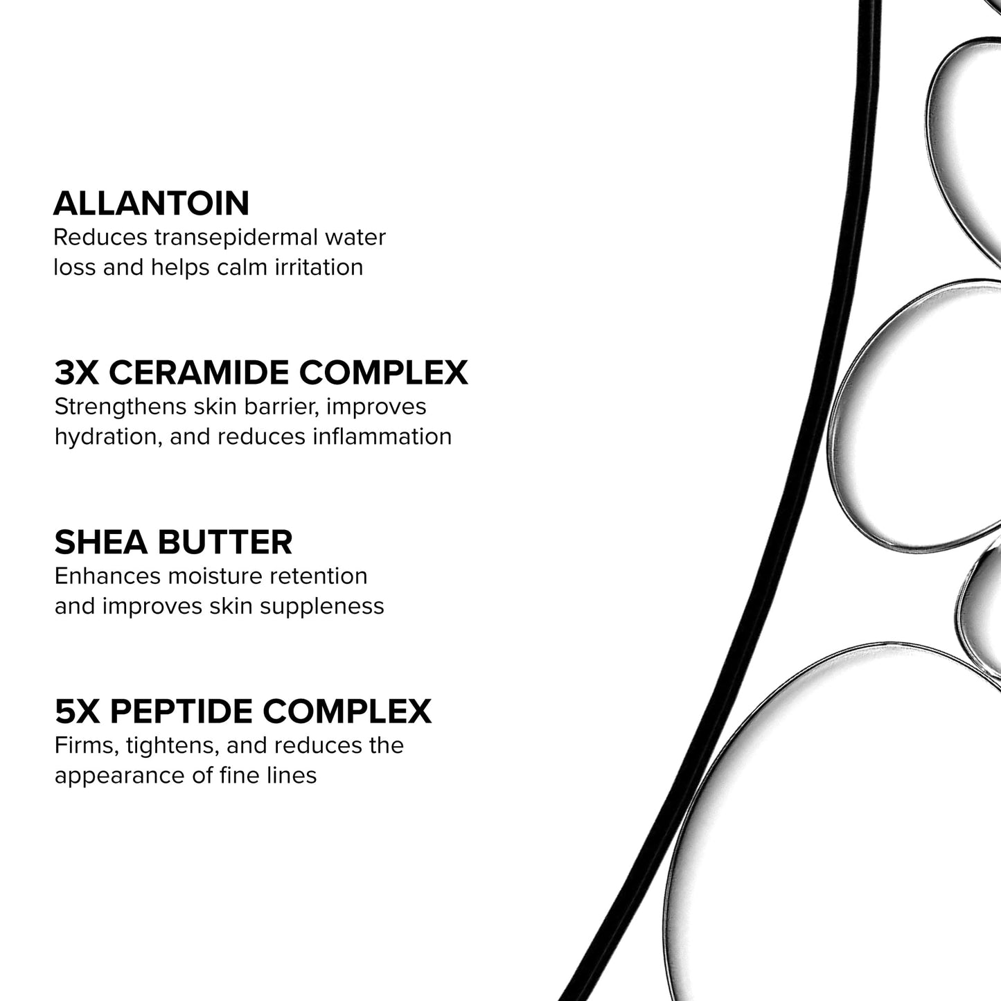 DRMTLGY Peptide Night Cream Face Moisturizer. Fragrance Free and Oil Free Hydrating Facial Moisturizer for All Skin Types. 2.1 oz
