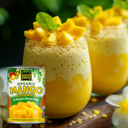 Native Forest Organic Mango Chunks - Mango Canned, Mangoes, Mangos, Canned Fruit No Sugar Added, Mango Sliced, Mango Fruit - 14 Ounce (Pack of 6)