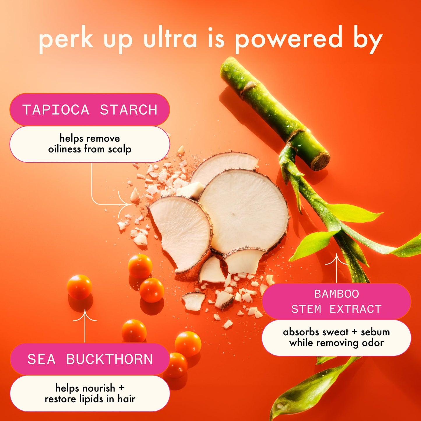 amika perk up ultra oil control dry shampoo | cleans + refreshes scalp + roots, absorbs + helps control oils, extends styles between washes, for all hair types with extra oily scalps
