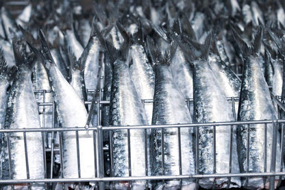 Sardines in olive oil 3 tins x 125 g, Porthos / Portugal