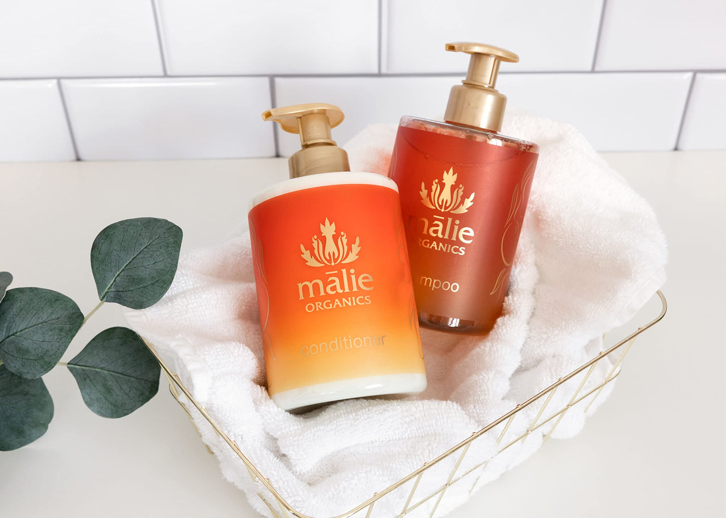 Mango Nectar Shampoo 14 oz