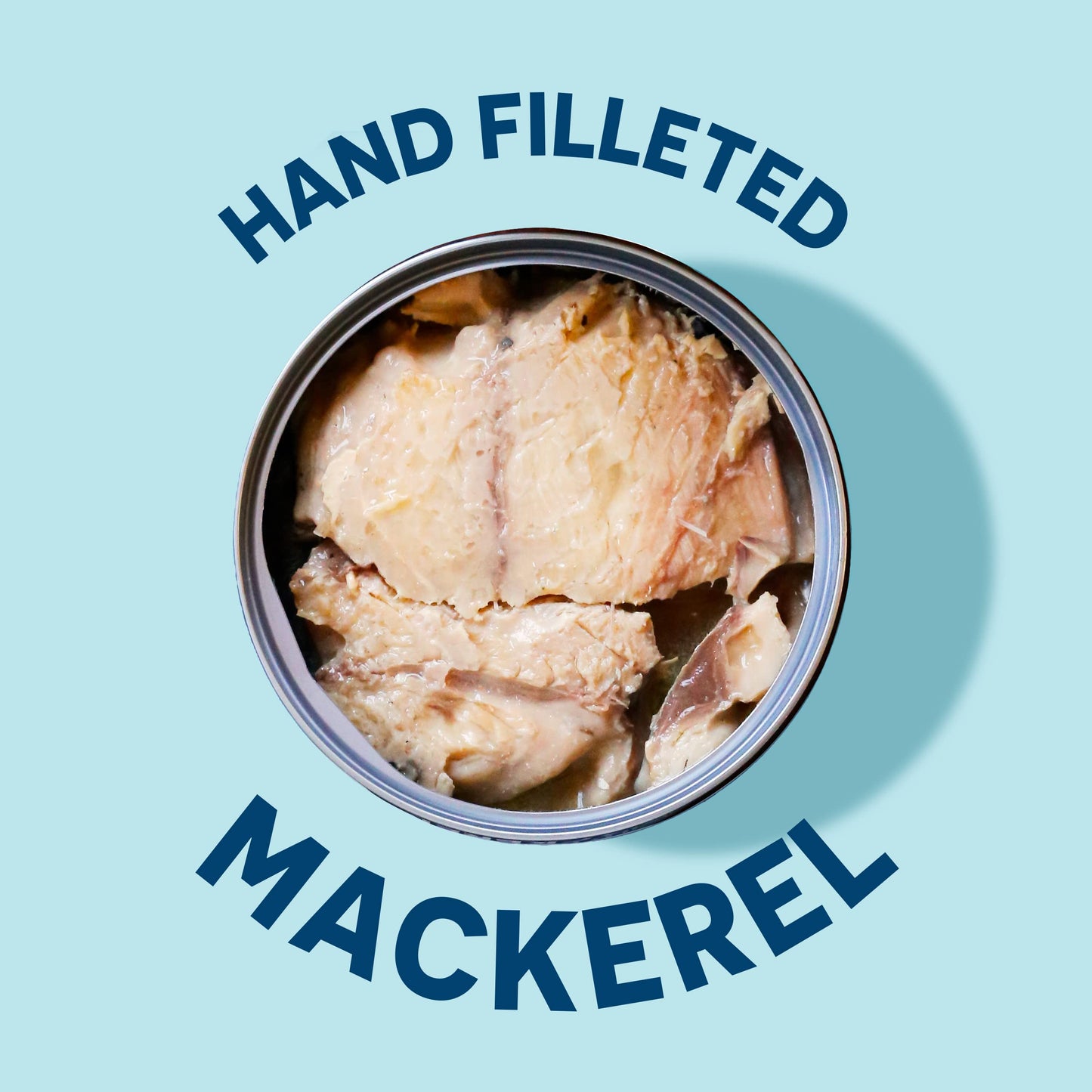 Wild Planet Wild Pacific Mackerel Fillets (SABA), Skin-On & Boneless, Delicious & Sustainable, Tinned Fish, 5 oz, (Pack of 12)
