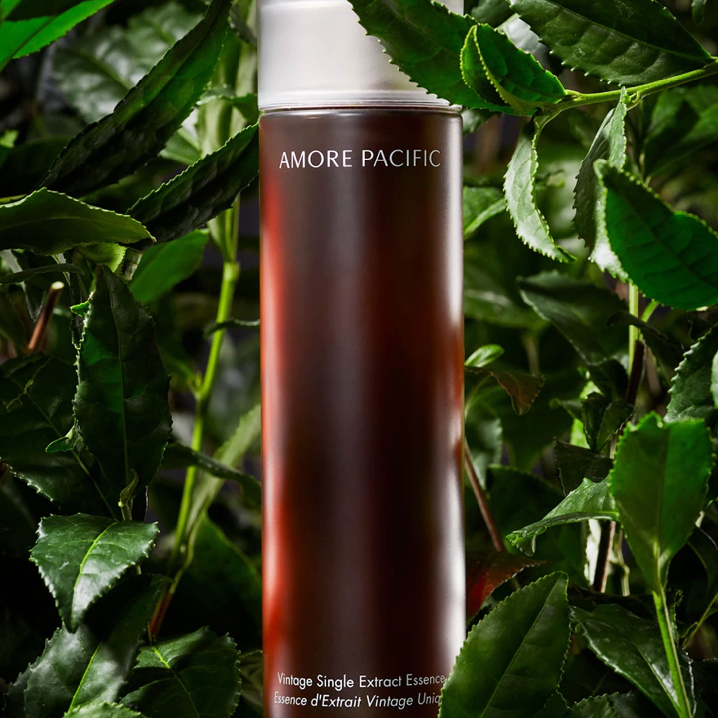 AMOREPACIFIC Anti Aging Antioxidant Hydration Radiance