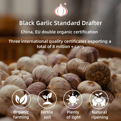 Organic Aged Black Garlic (90-Day Fermentation) - Canadian-Handpicked Multi-Clove, Ready-to-Eat Superfood, 8oz Resealable Pouch | Non-GMO