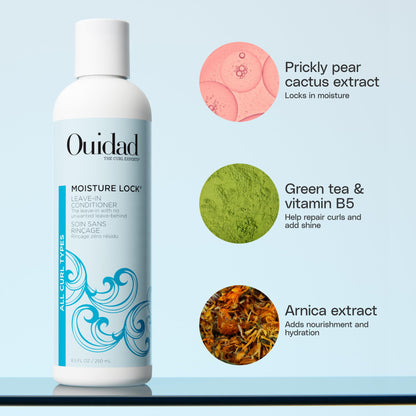 Ouidad Moisture Lock Leave-In Conditioner – 2-in-1 Hydrating Conditioner & Primer for Nourished, Defined Curls, Prevents Frizz, Promotes Shine, & Adds Slip For Detangling, Sulfate-Free, All Curl Types
