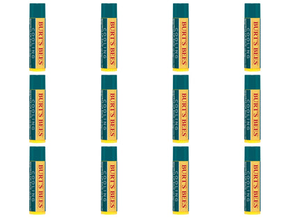 Burt's Bees Cooling Lip Balm w/Peppermint Oil 12 Count Value Pack