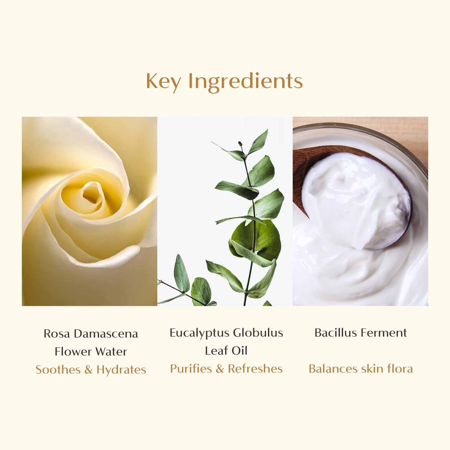 CAELA Feminine Wash, pH Balanced Foaming Cleanser with Triple Lactobacillus Ferment Complex – Gentle Daily Intimate Care for Women, Sea Buckthorn & Damask Rose, Sulfate-Free, 5.07 Fl Oz
