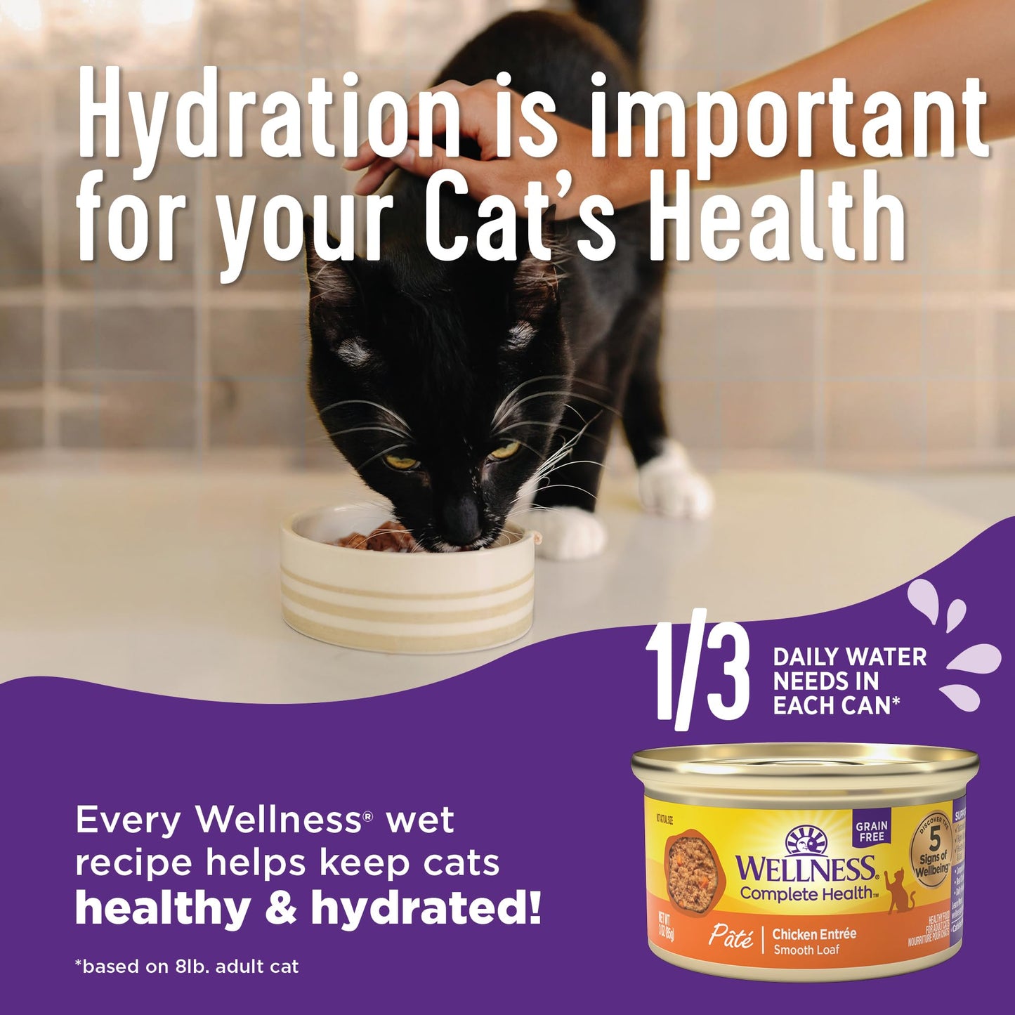 Wellness Complete Health Purrfect Duos, Cuts in Gravy, Adult Wet Cat Food, Natural, Protein-Rich, Grain-Free, 2.64 Ounce, 12 Pack, (Tuna & Cod Dinner Recipe)