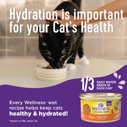 Wellness Complete Health Purrfect Duos, Cuts in Gravy, Adult Wet Cat Food, Natural, Protein-Rich, Grain-Free, 2.64 Ounce, 12 Pack, (Tuna & Cod Dinner Recipe)