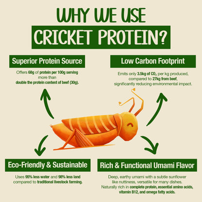 Rec Rec Protein Instant Ramen (3.56 oz Pack of 8) | Air-Dried Healthy Ramen Noodles with Cricket Protein 12.5g | Better Texture and Taste | Non-Fried, No Artificial Flavors Noodles | Variety 8-Pack: Truffle Cream, Green Peppercorn, Miso & Spicy Tantanmen