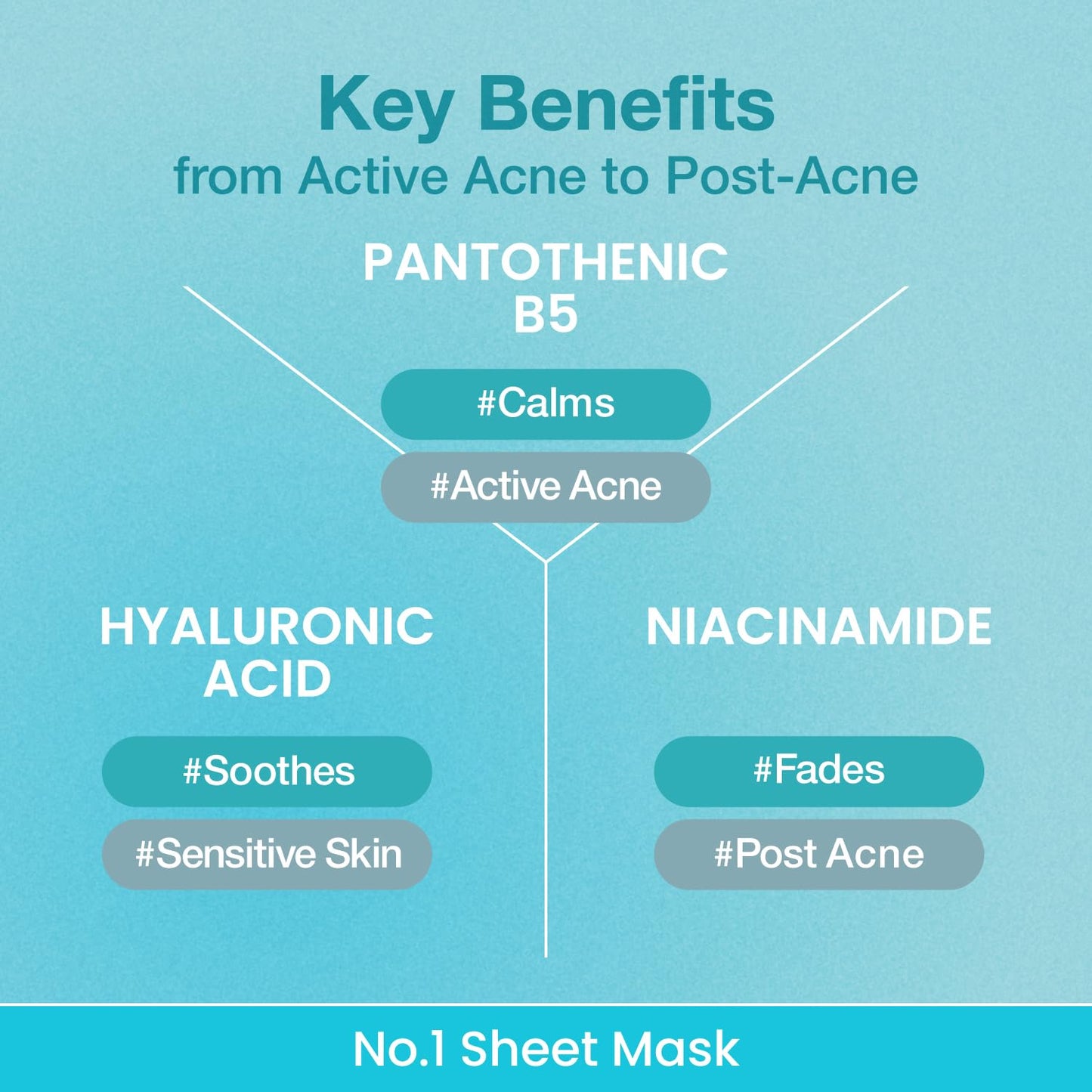 numbuzin No.1 Sheet Mask | Pantothenic B5 Hyaluronic Active Clear Mask | Calming, Soothing, Hydrating | Acne Prone Skin | Controls Excess Oil, Reduces Redness | 5 Sheets